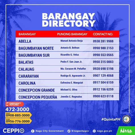 barangays of naga city cebu